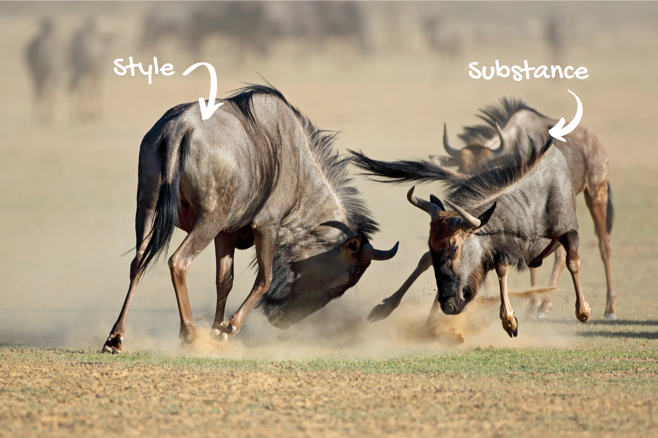 The Battle of Style vs. Substance within Digital Advertising